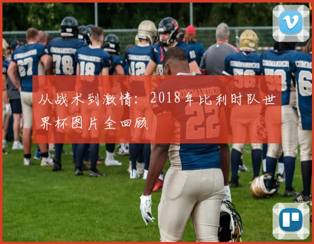 从战术到激情：2018年比利时队世界杯图片全回顾