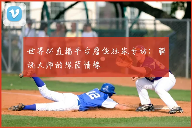 世界杯直播平台詹俊独家专访：解说大师的绿茵情缘