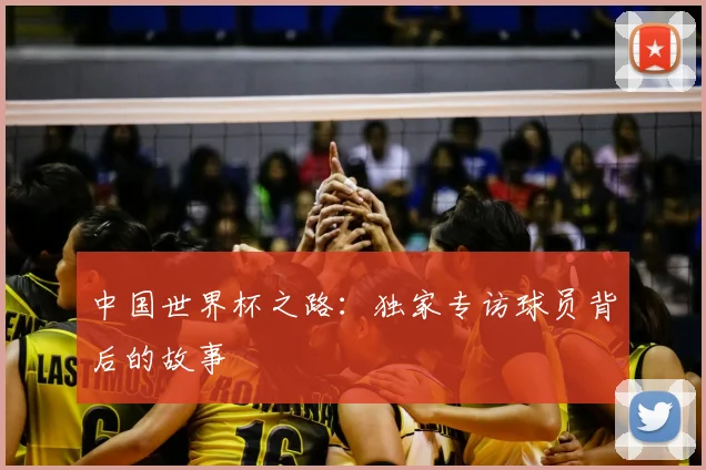 中国世界杯之路：独家专访球员背后的故事