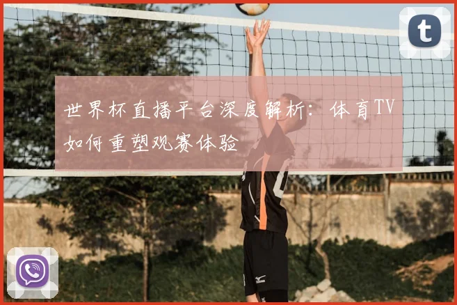 世界杯直播平台深度解析:体育TV如何重塑观赛体验