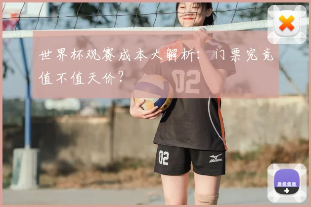 世界杯观赛成本大解析：门票究竟值不值天价？