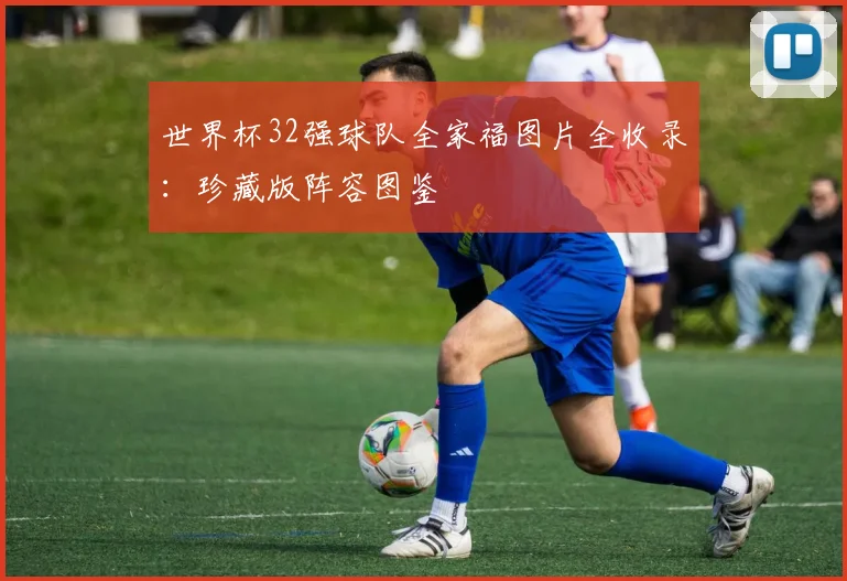 世界杯32强球队全家福图片全收录:珍藏版阵容图鉴