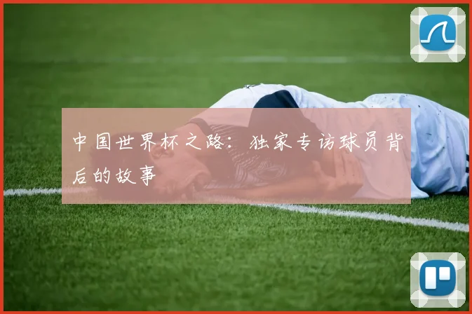 中国世界杯之路：独家专访球员背后的故事