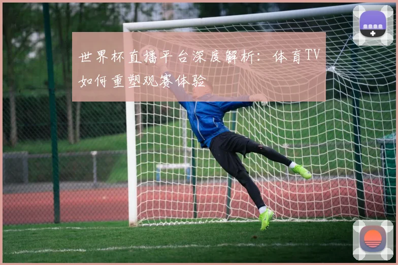 世界杯直播平台深度解析：体育TV如何重塑观赛体验