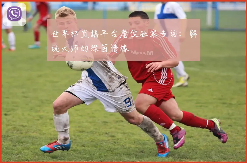 世界杯直播平台詹俊独家专访:解说大师的绿茵情缘