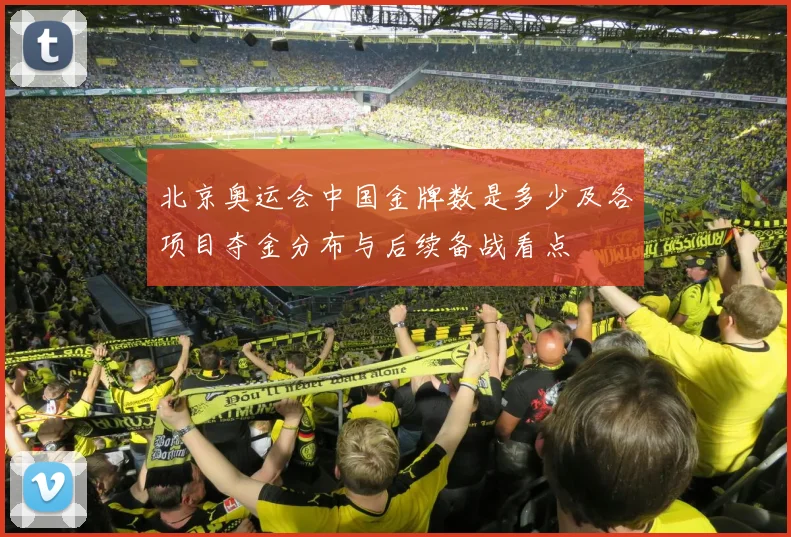 北京奥运会中国金牌数是多少及各项目夺金分布与后续备战看点