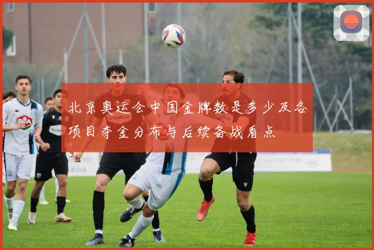 北京奥运会中国金牌数是多少及各项目夺金分布与后续备战看点