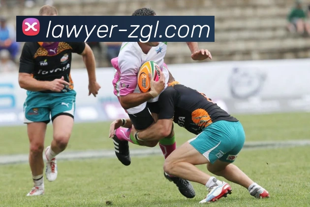 开云手机在线官网登录APP 体育赛事宣传图